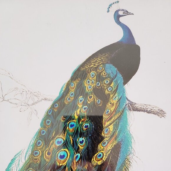 Framed Peacock Watercolor Painting Print Framed Wall Art Print 16" x 13" - Picture 2 of 4